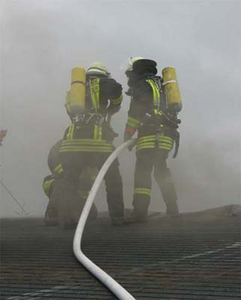 Dach_Rauch02