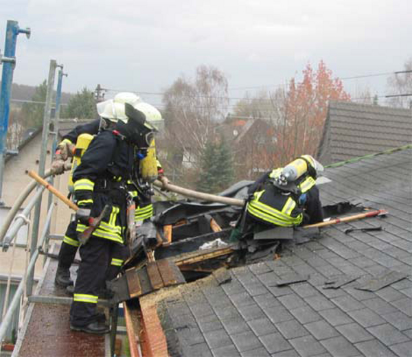 Dach_Rauch03